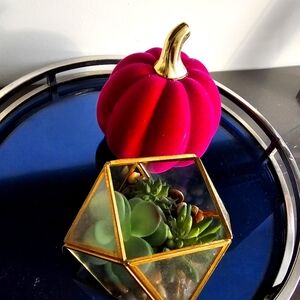 Decorative pumpkin and plant